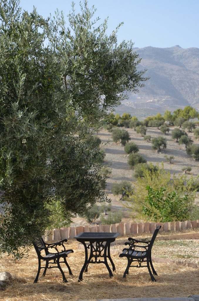 DSC 0131 Casa Rural El Viejo Castaño