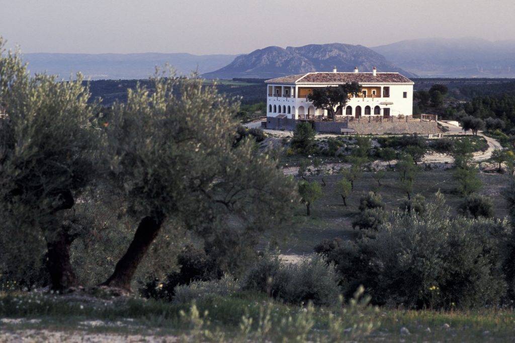 web 2024 Casa Rural El Viejo Castaño