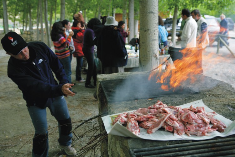 Barbacoa Casa Rural El Viejo Castaño